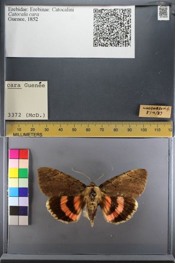 Media type: image;   Entomology 748046